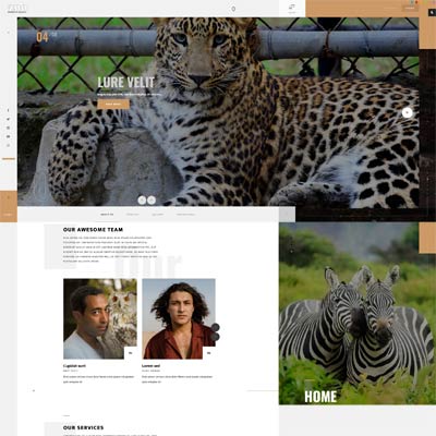 Zoo Joomla Template